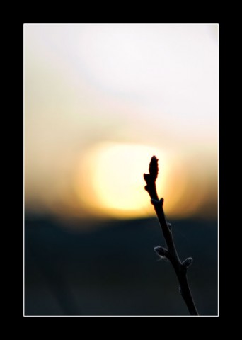 2009-04-15_0826