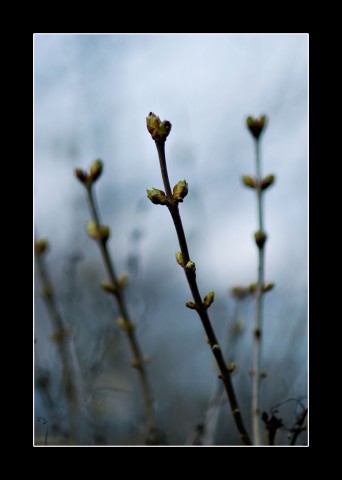 2009-04-15_0869