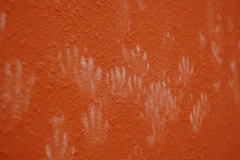 2009-11-05_4306